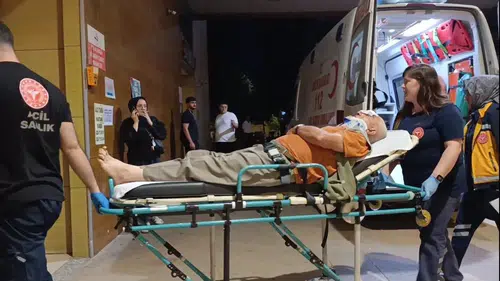 İnegöl'de meyve toplarken ağaçtan düşen yaşlı adam yaralandı