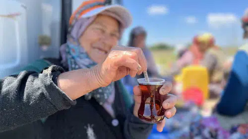 Karacabey tarlalarında yorgunluk odun ateşinde demlenen çayla çıkıyor