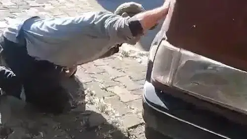 Tokat'ta park halindeki otomobile yılan girdi