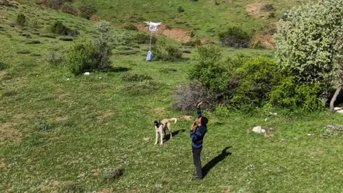 Sivaslı gençlerden meradaki çobanlara teknolojik bayram sürprizi