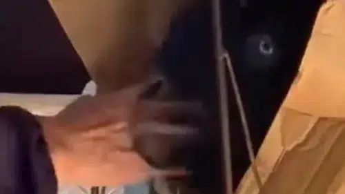 Adana'da dolmuş yolculuğuna şaşırtan misafir