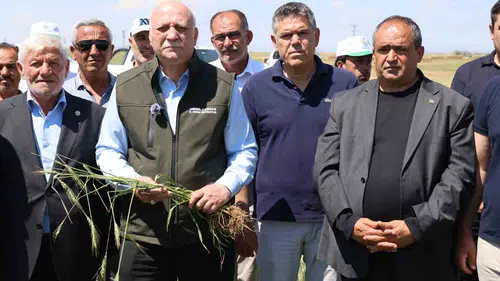 Aksaray’da dolu vurdu Çiftçinin zararı nasıl karşılanacak?