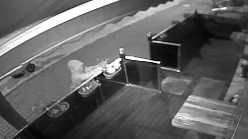 Bolu'da bir esnafın emekle diktiği çiçekleri motosikletli hırsız çaldı
