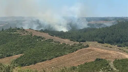 Adana İmamoğlu'nda anız yangını ormana sıçradı