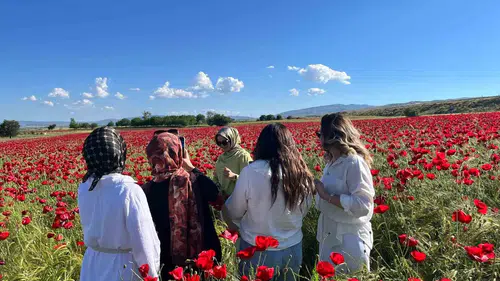 Elazığ yolunda doğal gelincik tarlası fotoğrafçılara kapılarını açtı