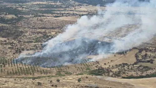 Çanakkale Ezine’de orman yangını korkuttu