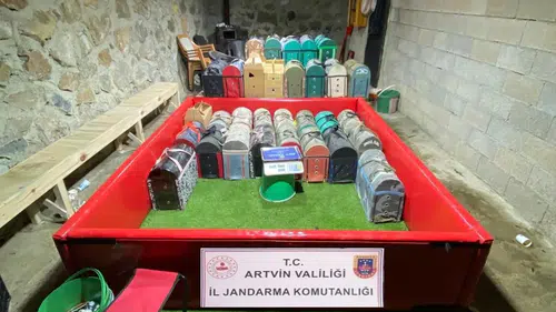 Artvin’de horoz dövüşü baskınına dev ceza