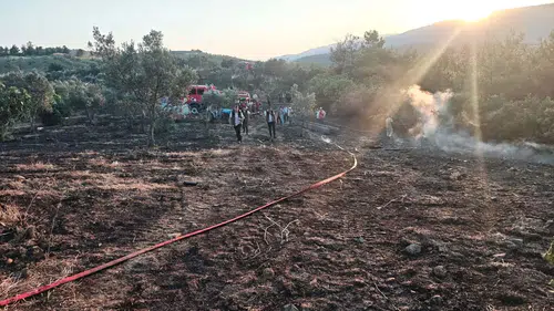 Bilecik'te tarım arazisinde başlayan yangın ormana sıçradı