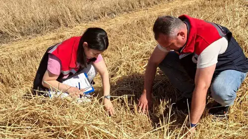 Hayrabolu’da hasat mesaisi denetimlerle başladı