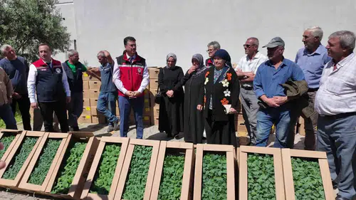 Tekirdağlı üreticiye 256 bin fide desteği