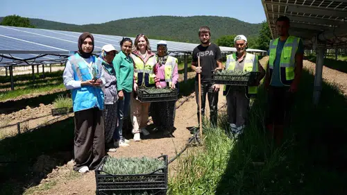 Samsun’da güneş panellerinin gölgesinde tarım dönemi başladı