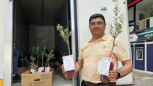 Belediye başkanından düğün davetiyle birlikte 5 bin zeytin fidanı
