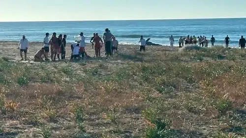 Kocaali sahilinde deniz keyfi kabusa döndü