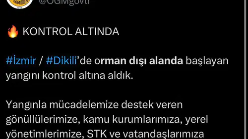 Dikili’deki makilik yangını ekiplerin müdahalesiyle söndürüldü