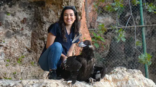 Antalya’da yaralı yırtıcılar için nesli kurtarma projesi
