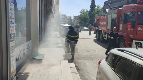Keşan'da sauna yangını 4 kedi ölümden döndü