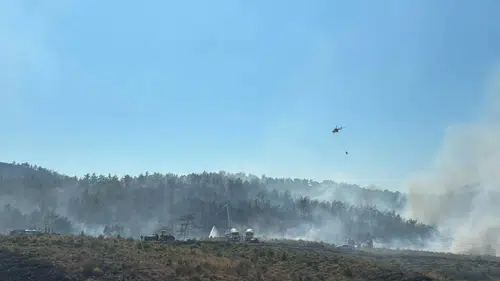 Fethiye ormanlarında rüzgar yangını yeniden tetikledi