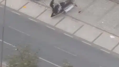 Avcılar’da fırtınaya yakalanan yayanın üzerine tabela düştü