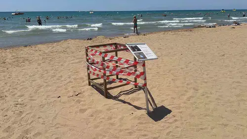 Antalya sahillerinde caretta yuvasını koruyan kafes çalındı