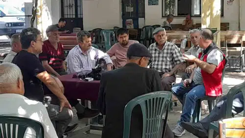 Muğla’da tarla faresi istilası Üreticiye zehirli yem desteği