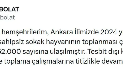 Ankara'da sokak hayvanları için hedef tamamlandı