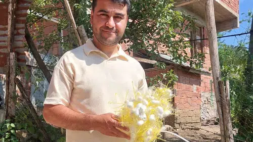 Fındığa alternatif arayanlara ipek böceği önerisi