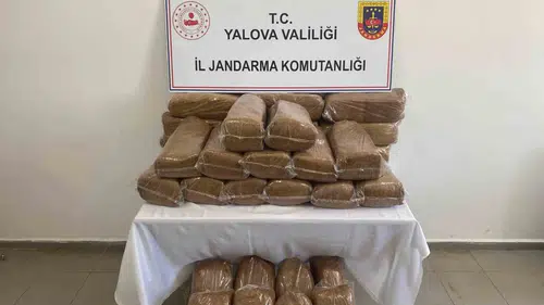 Yalova jandarmasından kaçak tütün operasyonu