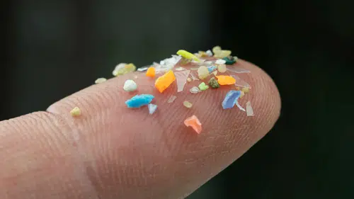 Plastiklerin iç organlardaki gizli rotası artık lazerle izleniyor