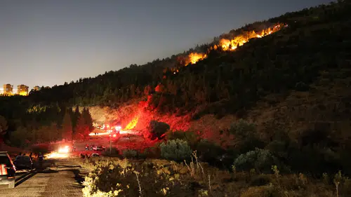 İzmir Bornova'da orman yangını paniği