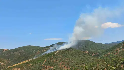Burhaniye alevlerle üç buçuk saat mücadele etti