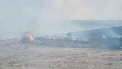 Traktörden çıkan kıvılcım tarlayı kül etti
