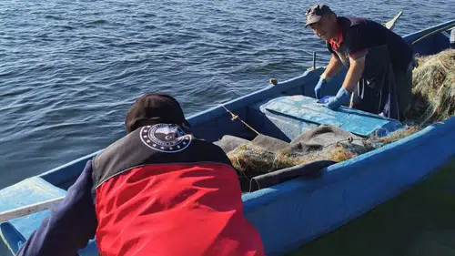 Beyşehir Gölü'nde kaçak avcılığa karşı sıkı denetim başladı