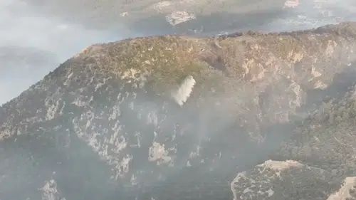 Fethiye'deki orman yangını kontrol altına alındı