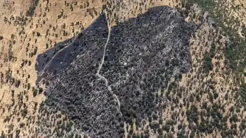 Kulp kırsalında alevler 50 dönümü küle çevirdi