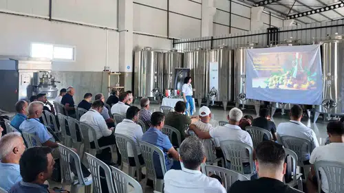 Zeytinyağı üretiminde verimliliği artıracak eğitimler tamamlandı