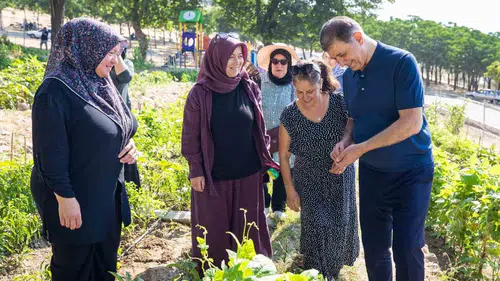 İzmir’in mahalle bostanlarında hasat vakti