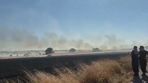 Eskişehir Seyitgazi’de yangın üç köye sıçradı