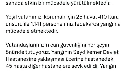 Muğla Seydikemer orman yangınında yüzlerce ev tahliye edildi