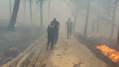 Aydın Çine’de orman yangını evleri yuttu