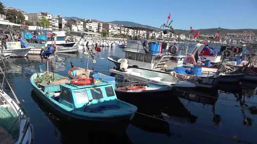Marmara’da balıkçılar kepenk kapatma noktasına geldi