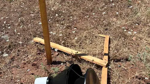 Hatay ormanlarındaki böcek tuzaklarını hedef alan saldırılara son verin