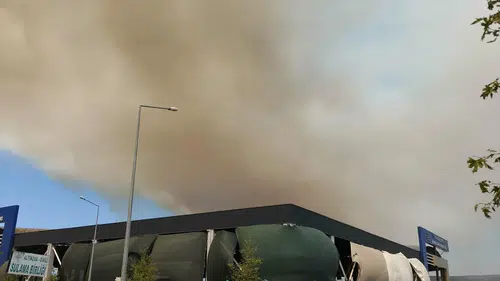 Balıkesir Gömeç ormanlarında yangın paniği
