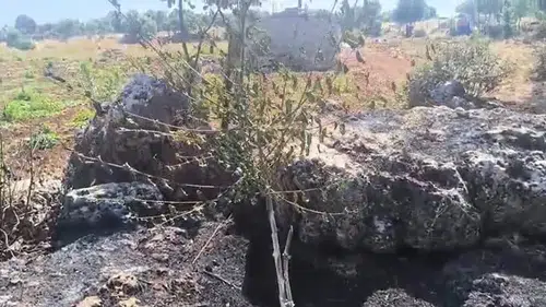 Dicle'de alevler meyve bahçelerini kül etti