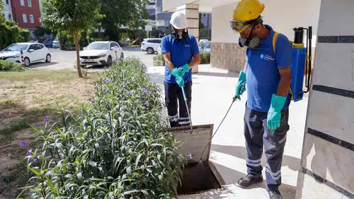 Antalya’da sivrisinek istilasına karşı 1700 kişilik dev ordu sahada