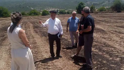 Muğla'da saman yangını üreticiyi vurdu