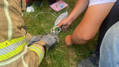 İnegöl'de yanan evdeki kedilere itfaiye ekipleri kalp masajı yaptı