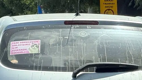 Eskişehir trafiğinde kedi resimli acemi sürücü notu yüzleri güldürdü