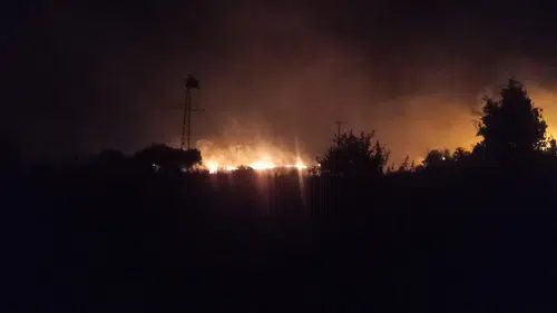 Güdül'deki otluk yangını korkuttu