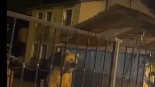 Sarıkamış’ta ev sahibi ayı oldu