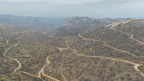 Silifke yangınında küle dönen ormanlar yeniden yeşeriyor